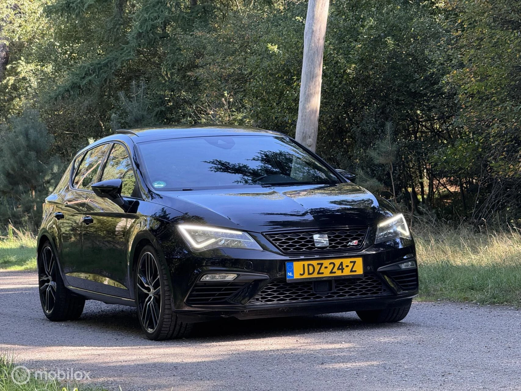 Hoofdafbeelding SEAT Leon