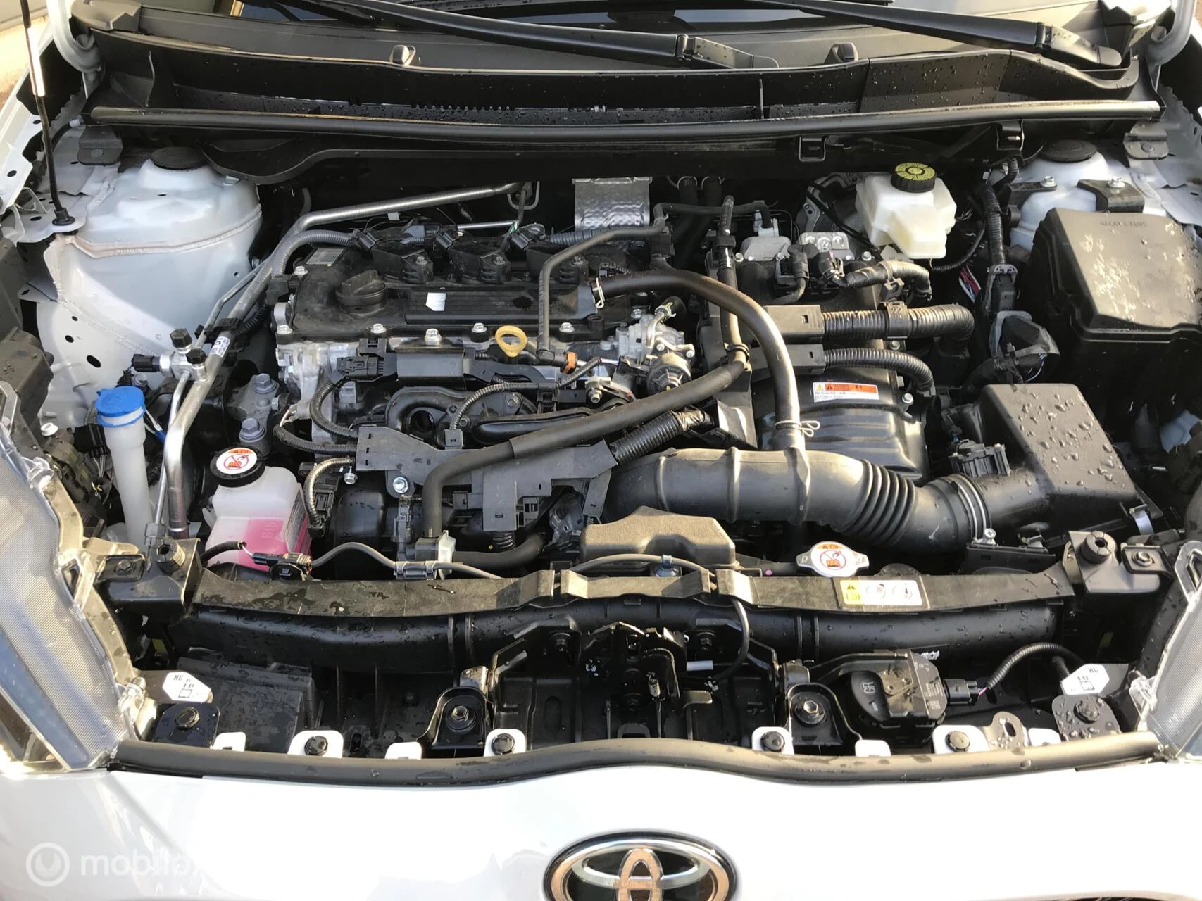 Hoofdafbeelding Toyota Yaris