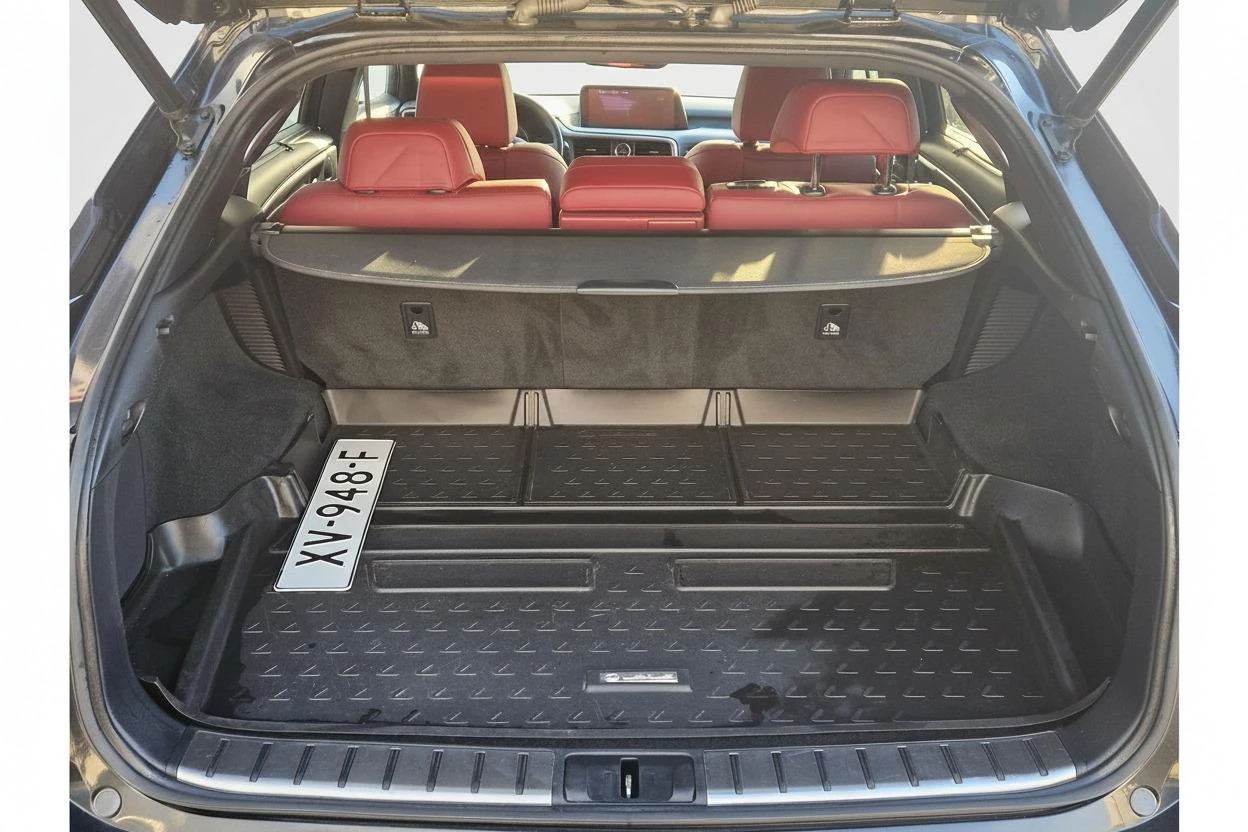 Hoofdafbeelding Lexus RX