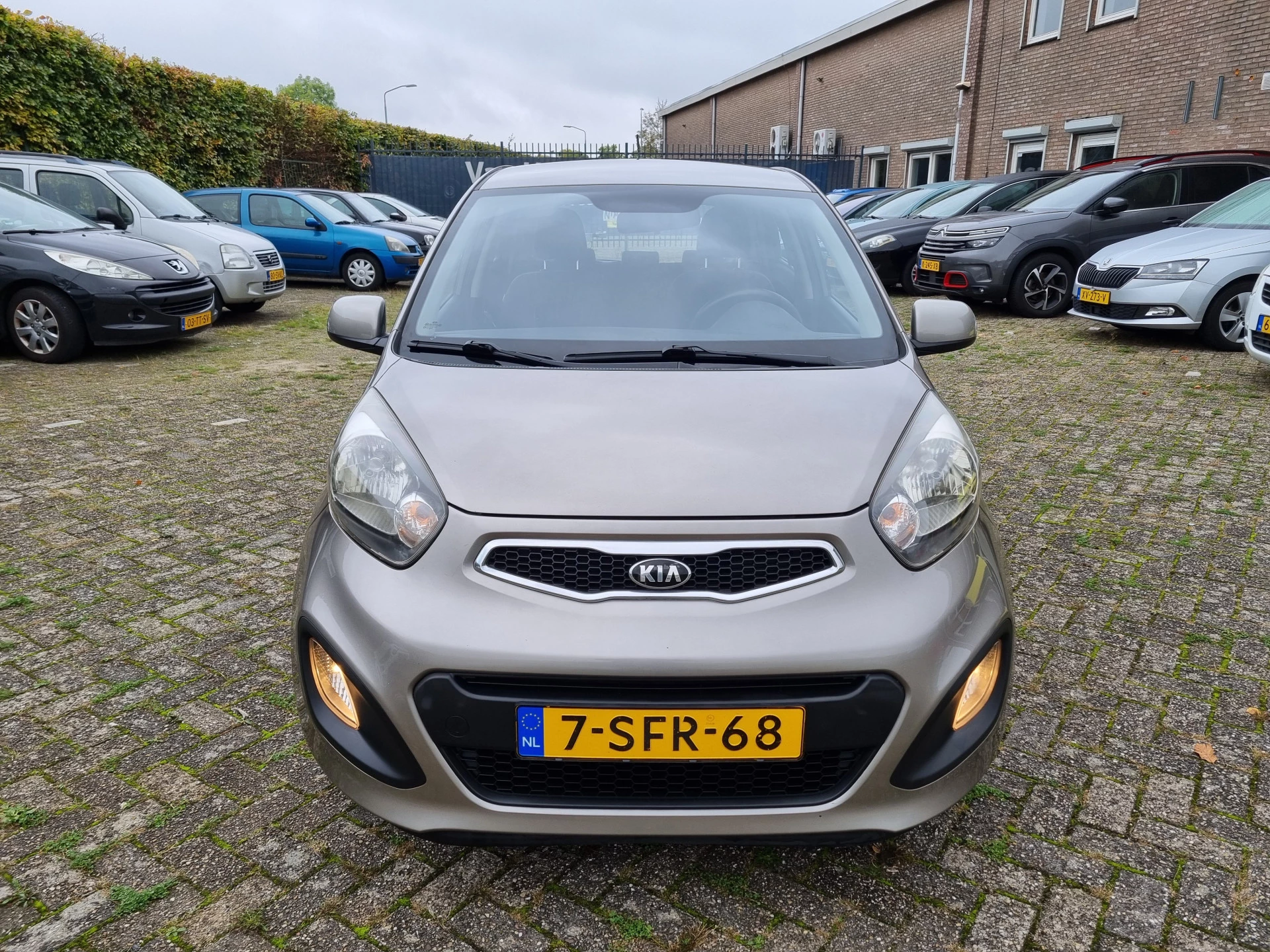 Hoofdafbeelding Kia Picanto