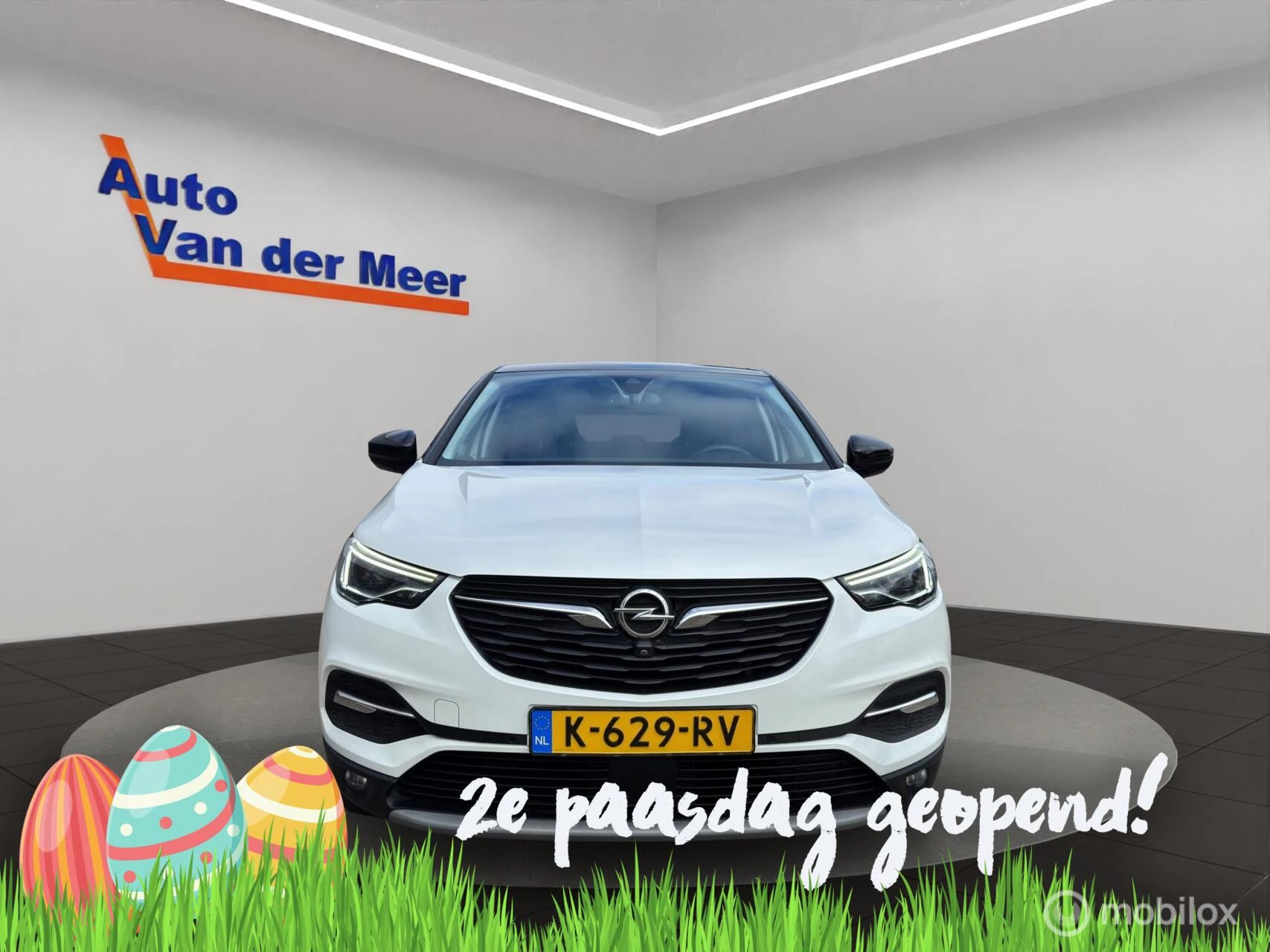 Hoofdafbeelding Opel Grandland X