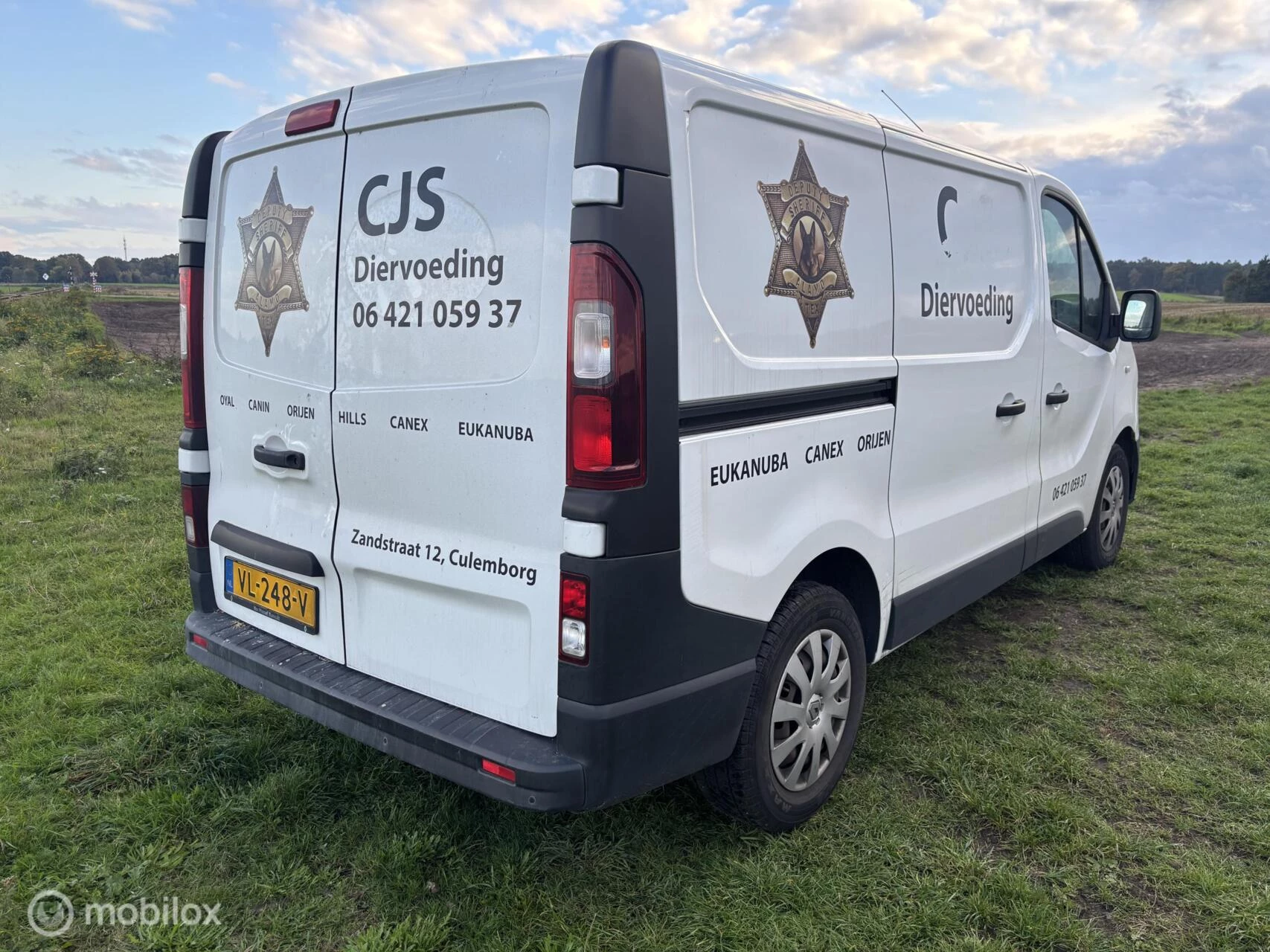 Hoofdafbeelding Renault Trafic