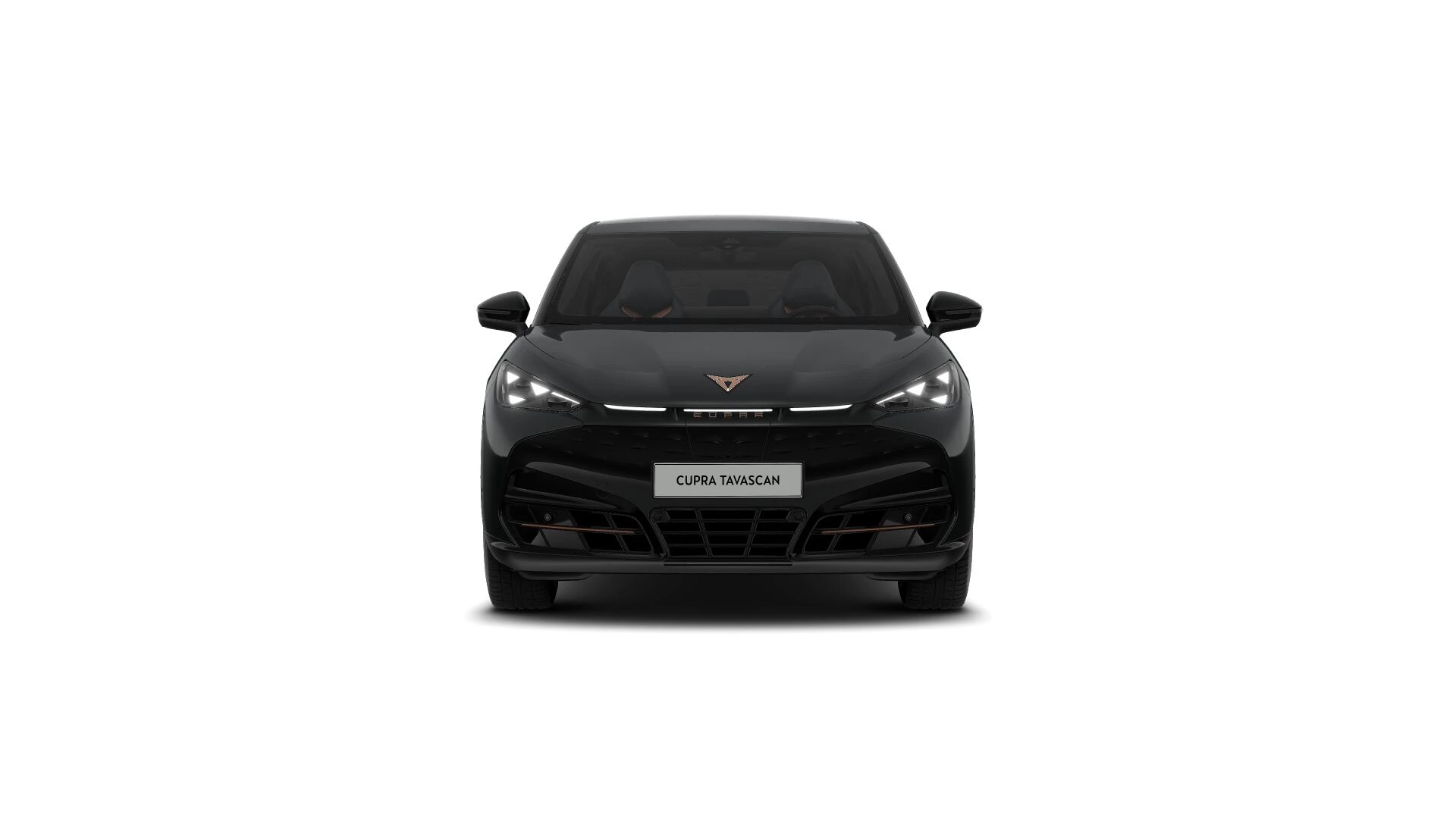Hoofdafbeelding CUPRA Tavascan