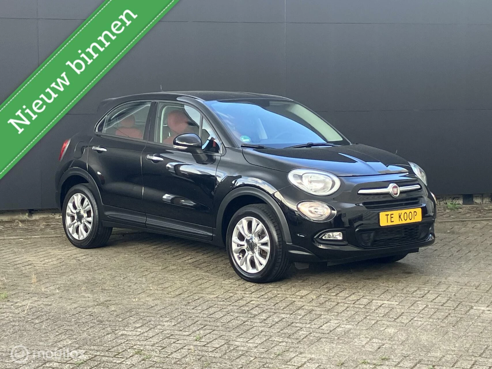 Hoofdafbeelding Fiat 500X