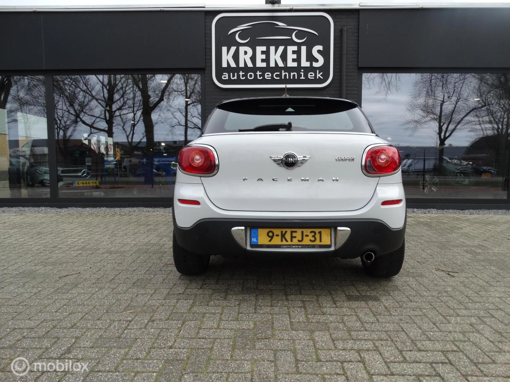 Hoofdafbeelding MINI Paceman