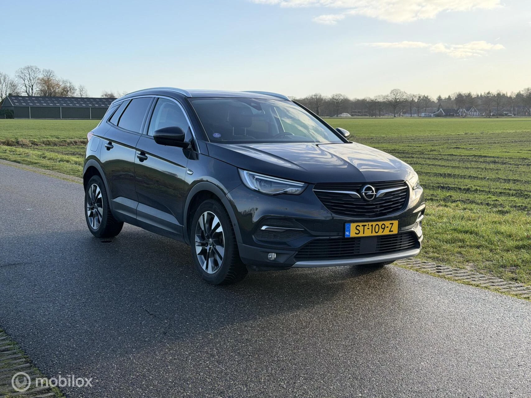 Hoofdafbeelding Opel Grandland X