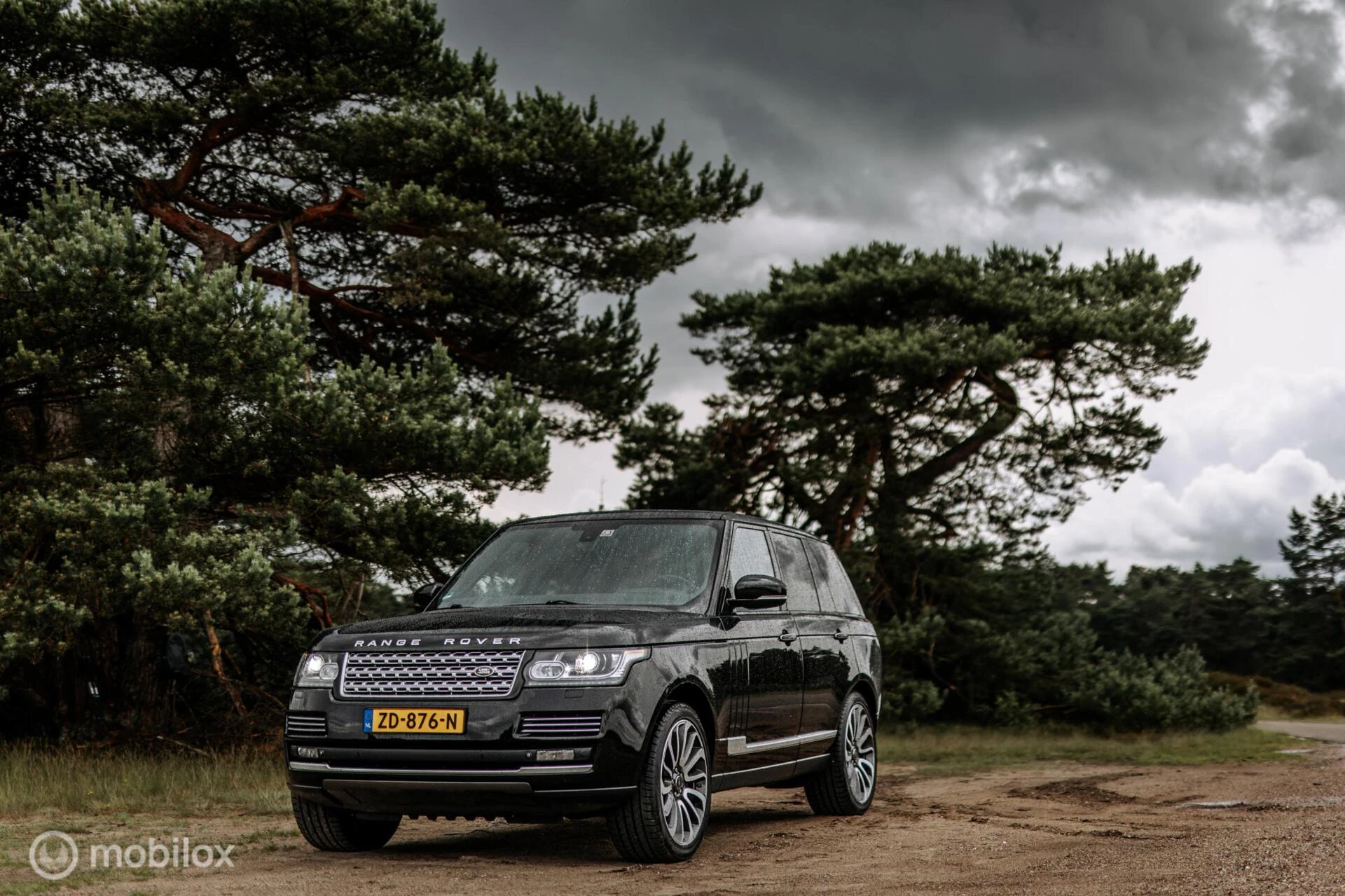 Hoofdafbeelding Land Rover Range Rover