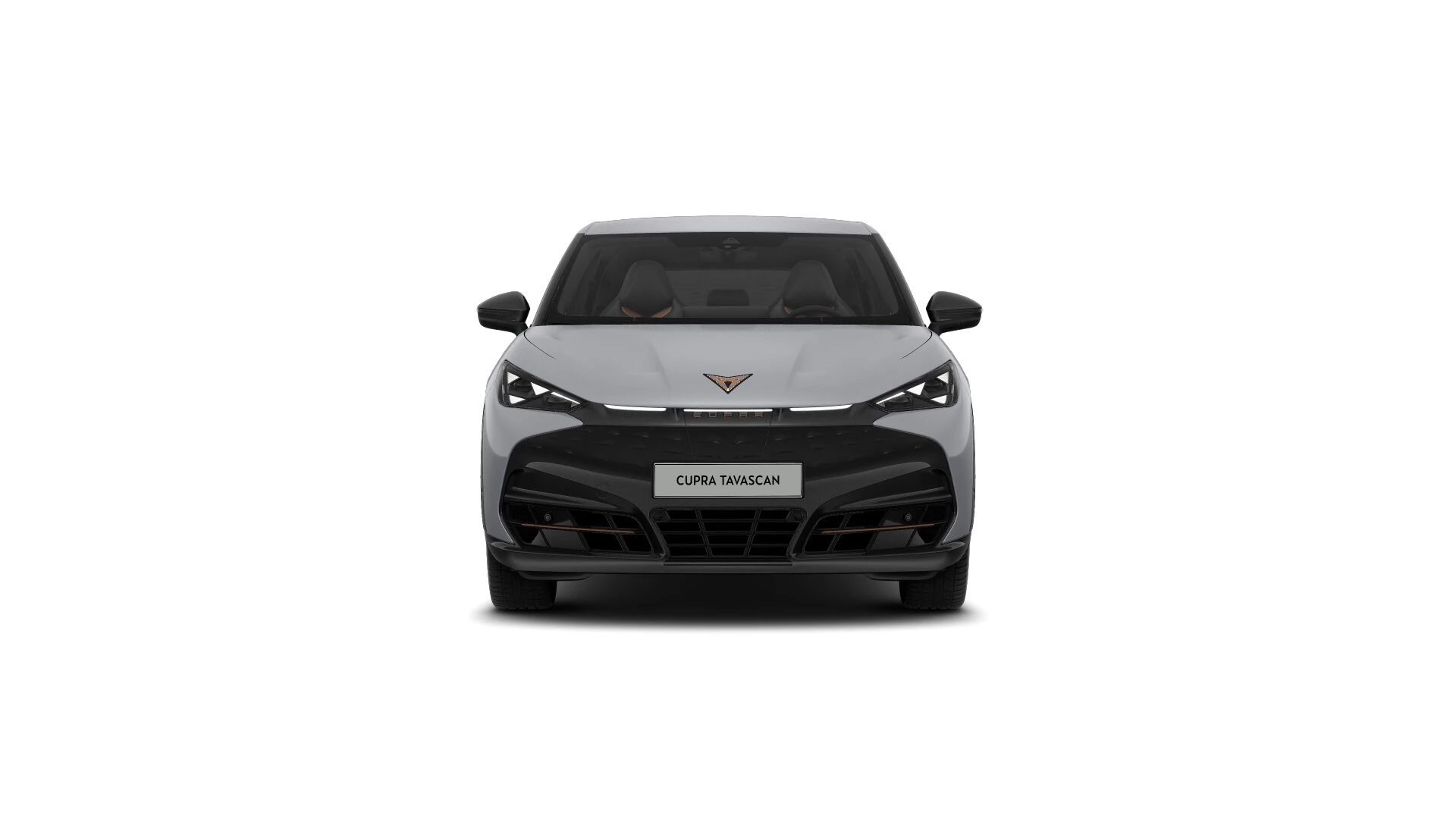 Hoofdafbeelding CUPRA Tavascan
