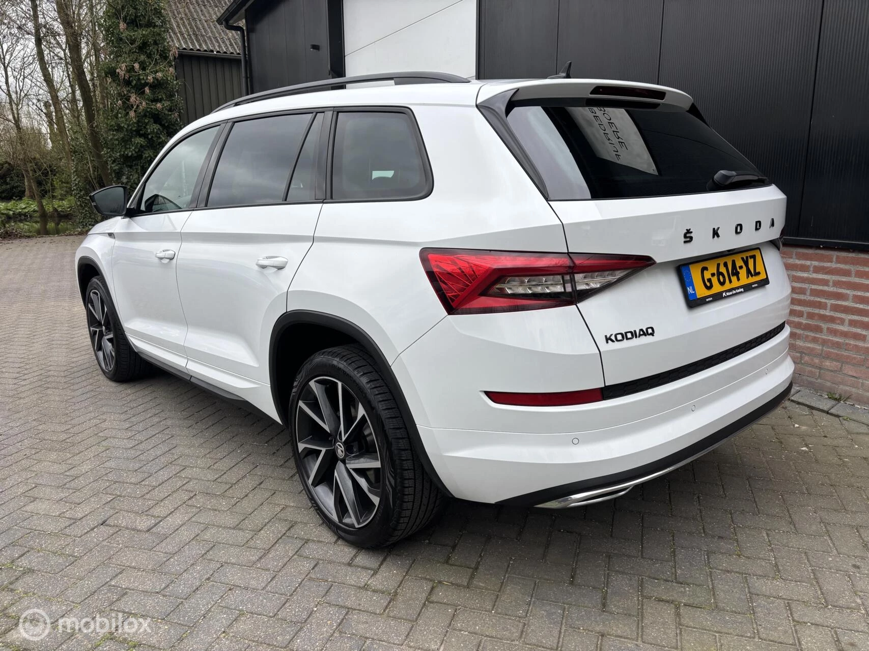 Hoofdafbeelding Škoda Kodiaq