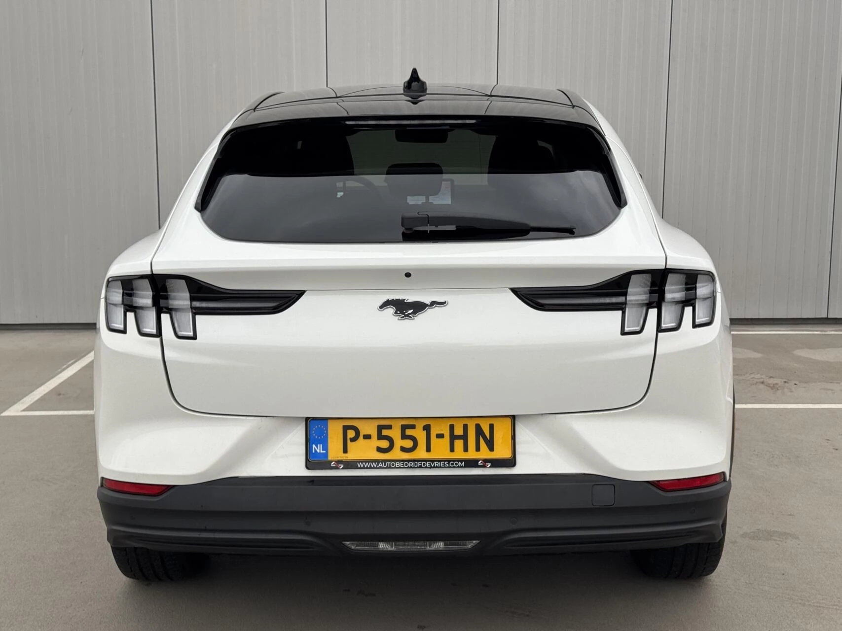 Hoofdafbeelding Ford Mustang Mach-E