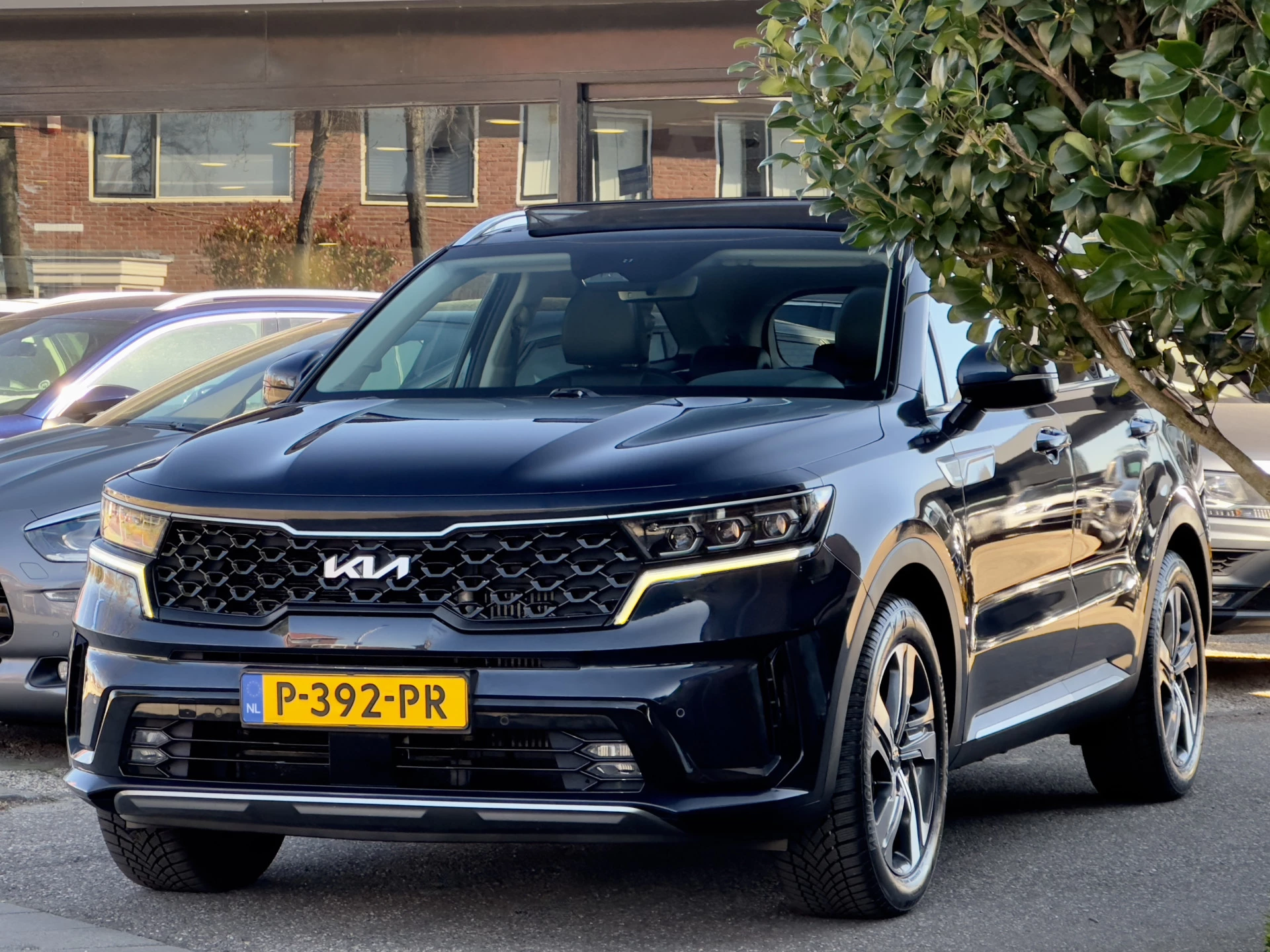 Hoofdafbeelding Kia Sorento