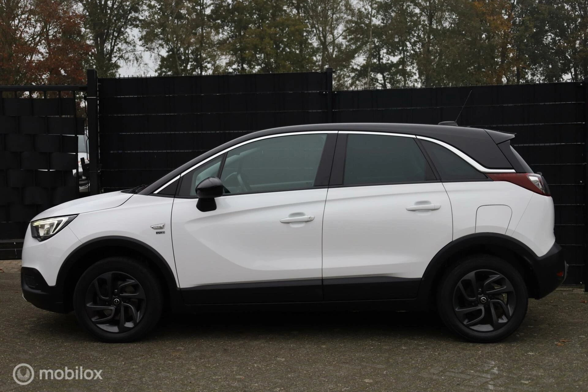 Hoofdafbeelding Opel Crossland X