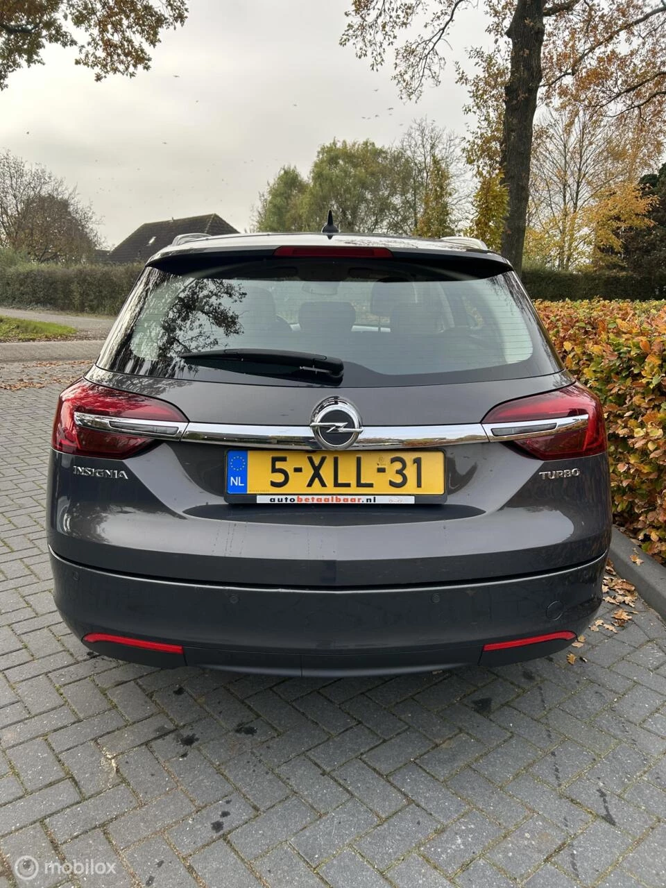 Hoofdafbeelding Opel Insignia