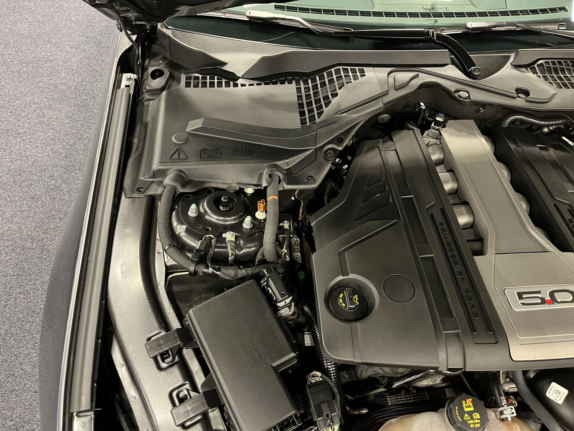 Hoofdafbeelding Ford Mustang