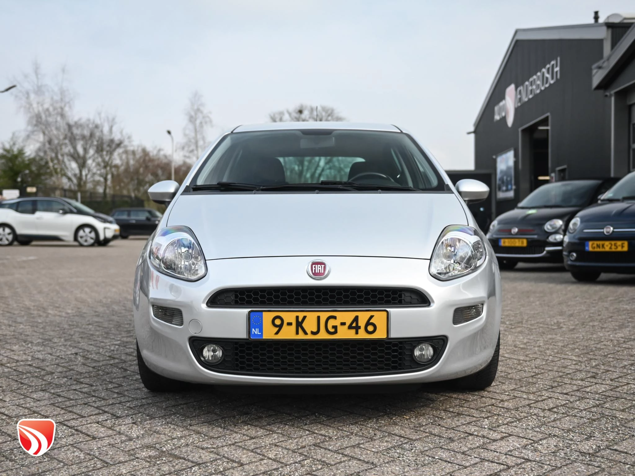 Hoofdafbeelding Fiat Punto