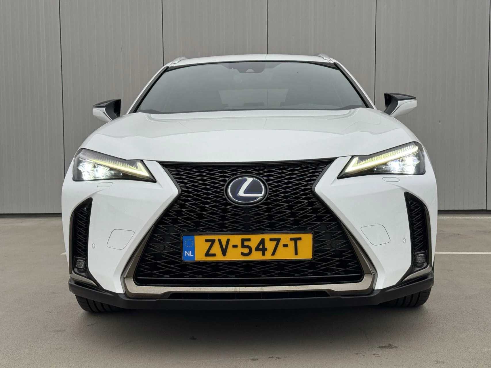 Hoofdafbeelding Lexus UX