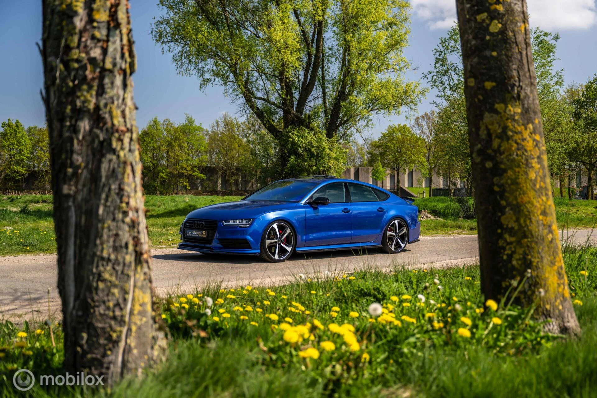 Hoofdafbeelding Audi A7