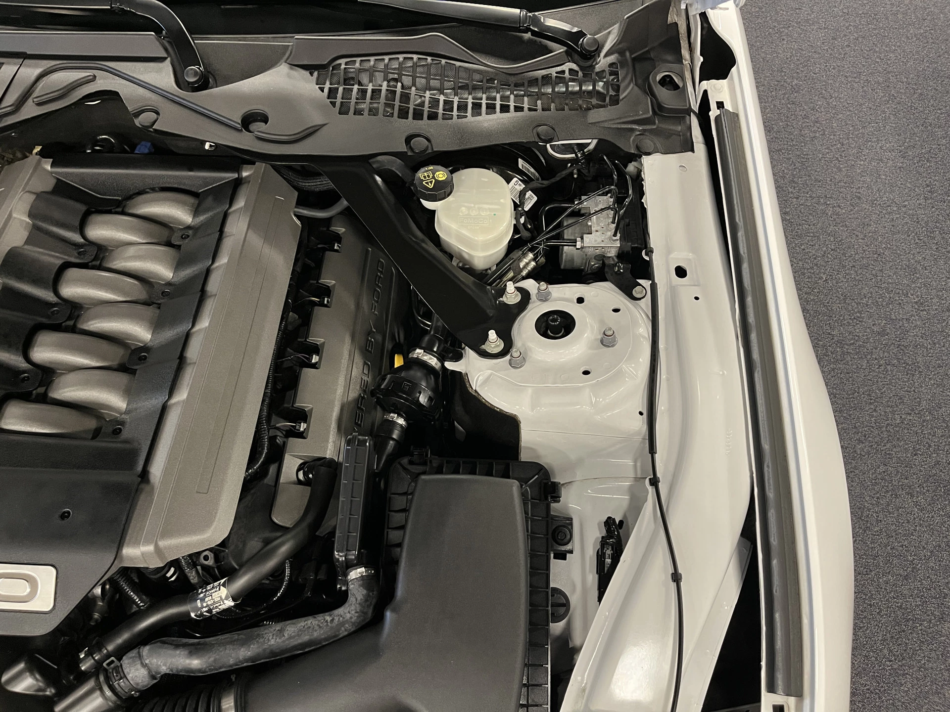 Hoofdafbeelding Ford Mustang