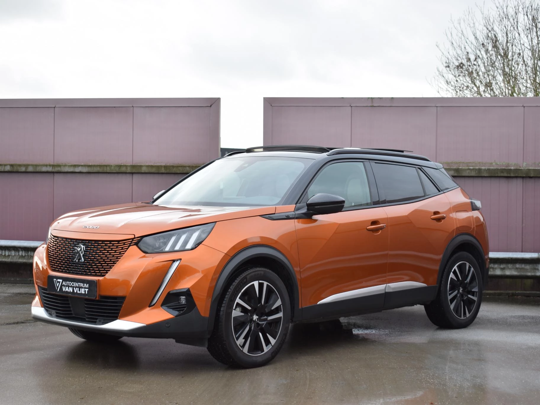 Hoofdafbeelding Peugeot e-2008