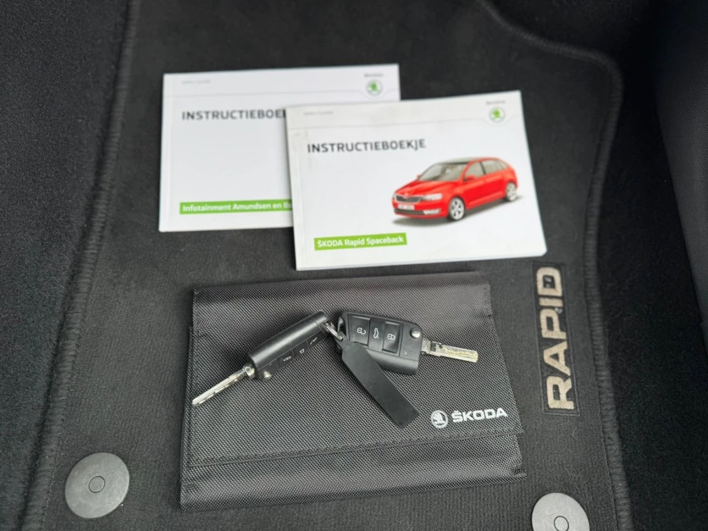 Hoofdafbeelding Škoda Rapid