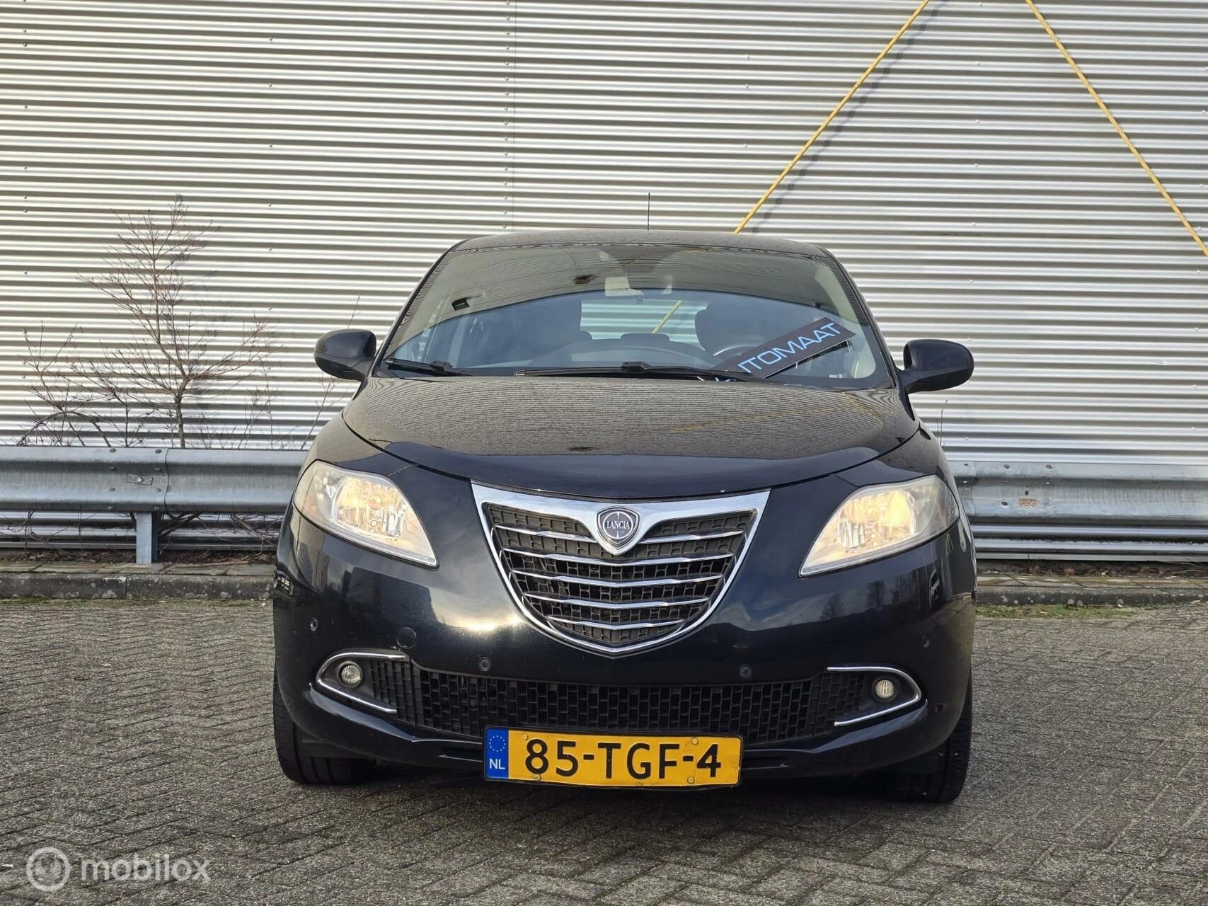 Hoofdafbeelding Lancia Ypsilon