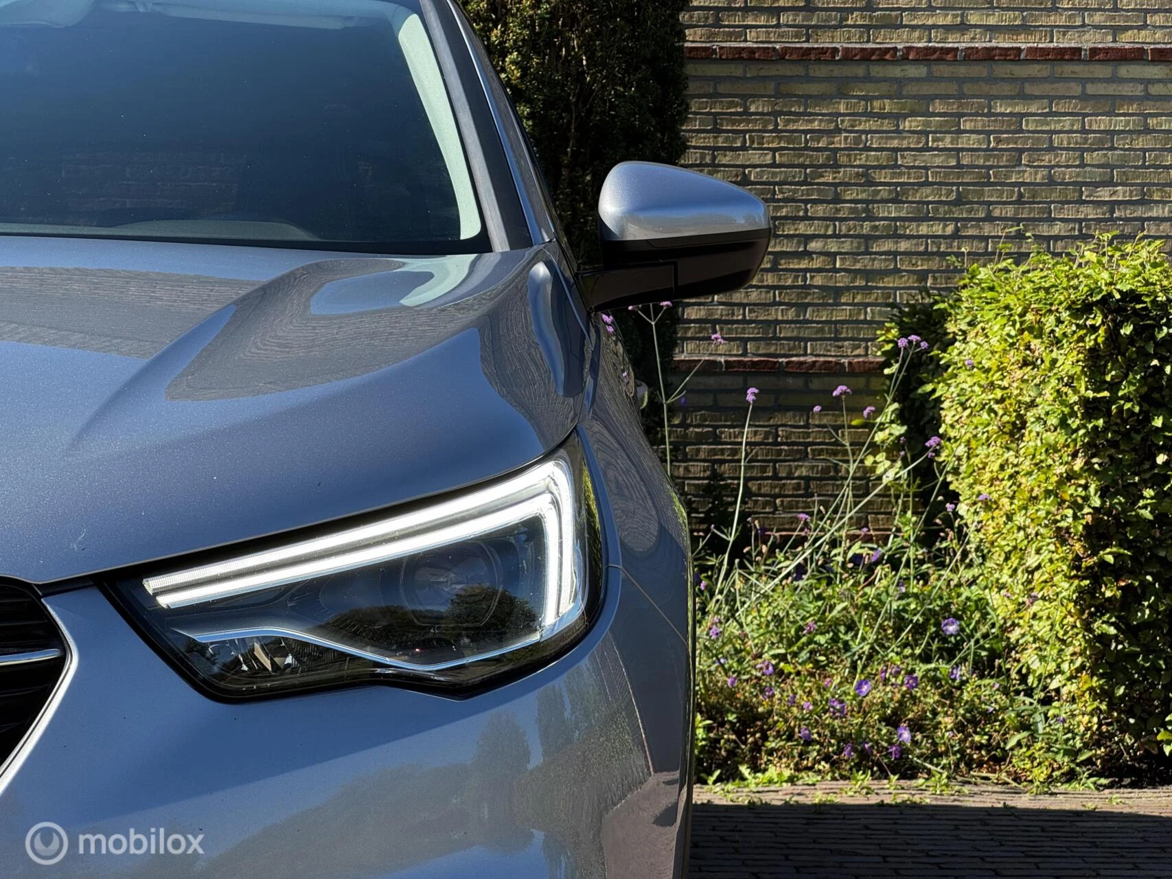 Hoofdafbeelding Opel Grandland X