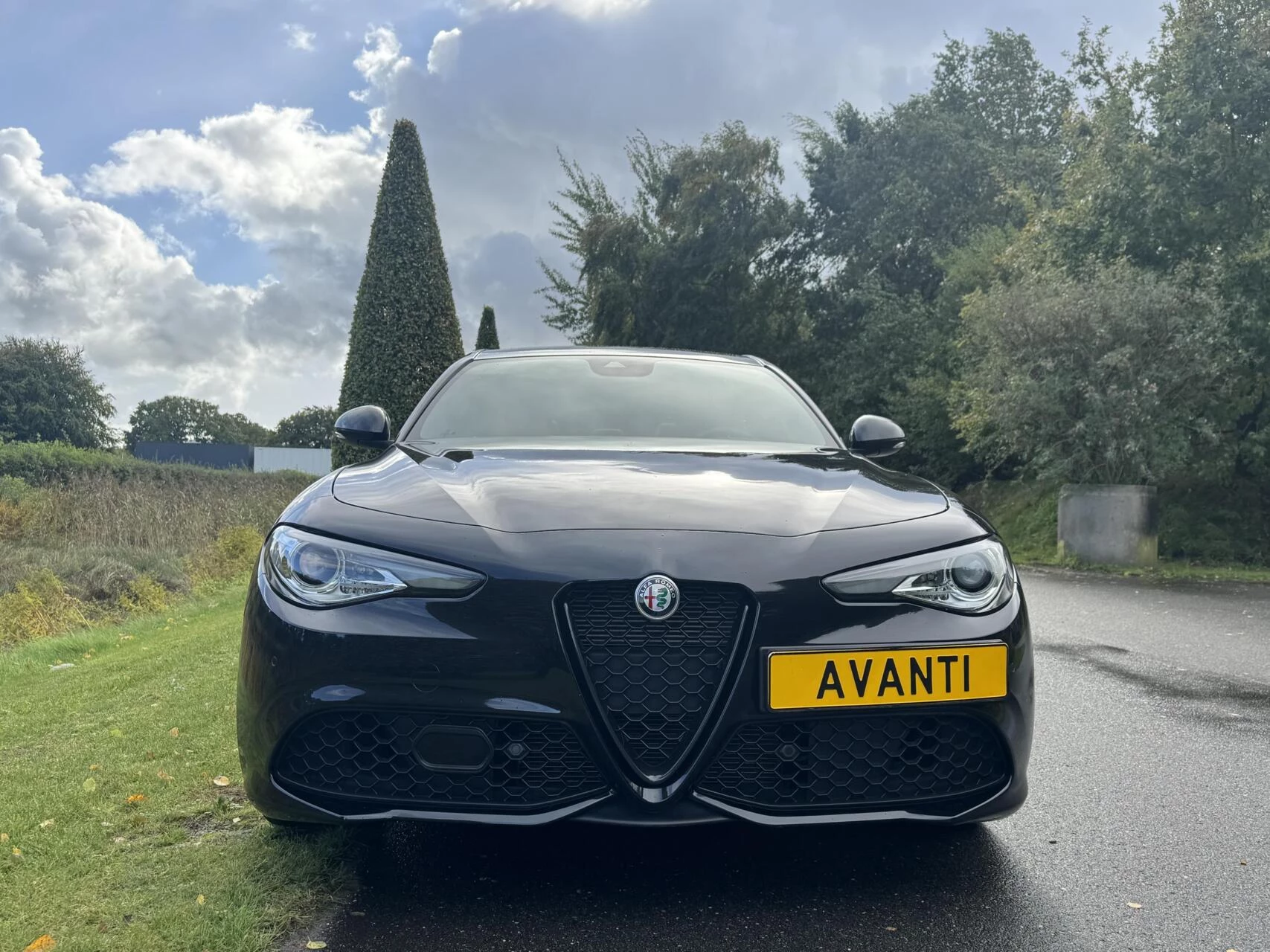 Hoofdafbeelding Alfa Romeo Giulia