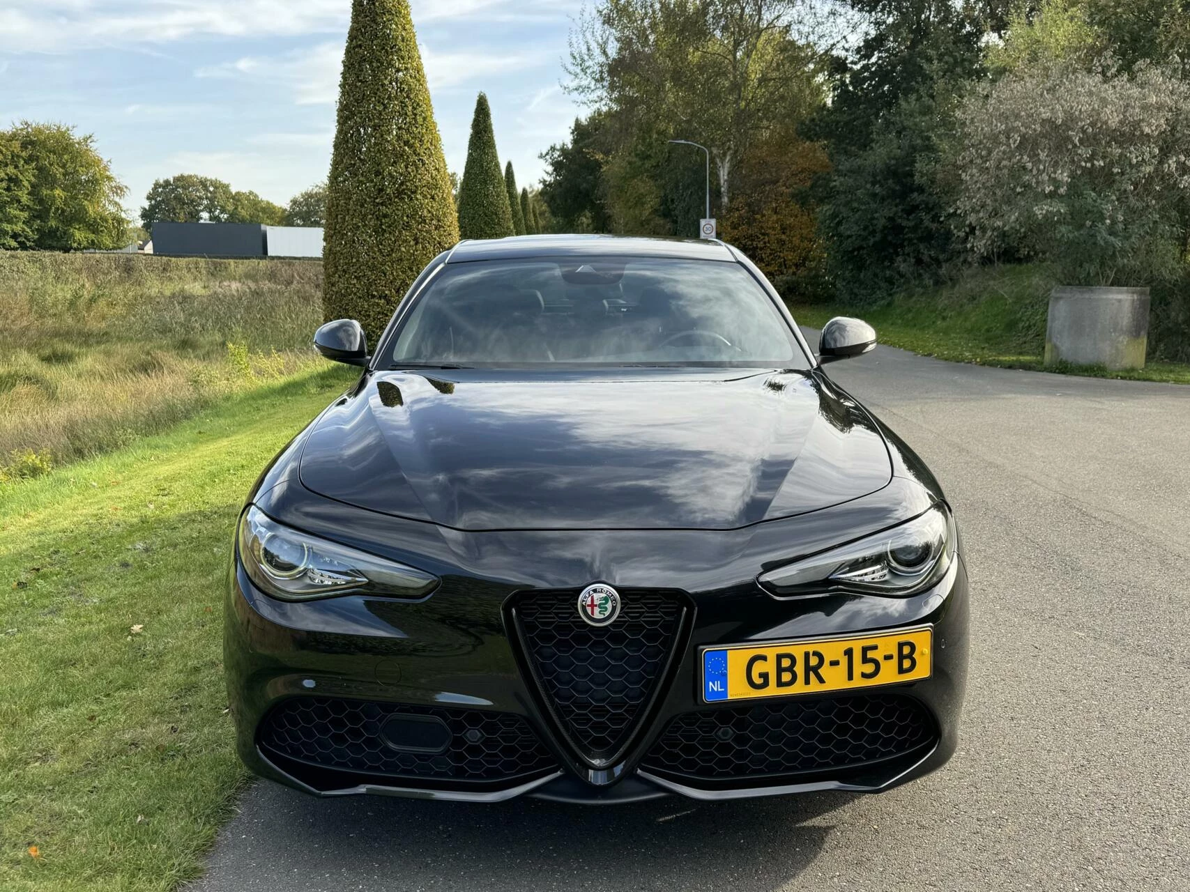 Hoofdafbeelding Alfa Romeo Giulia