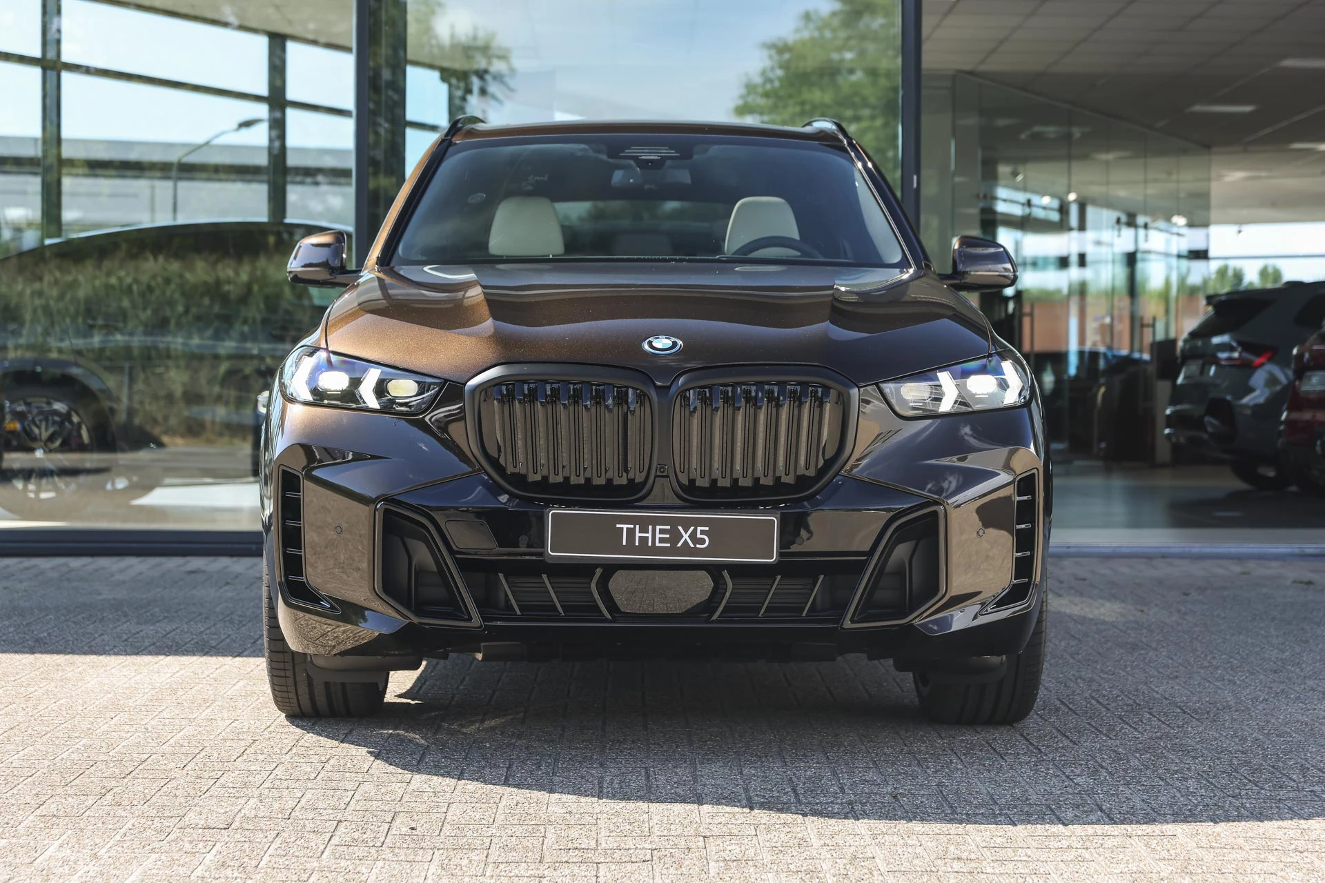 Hoofdafbeelding BMW X5