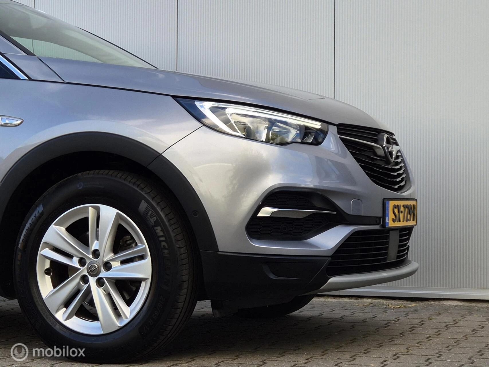 Hoofdafbeelding Opel Grandland X