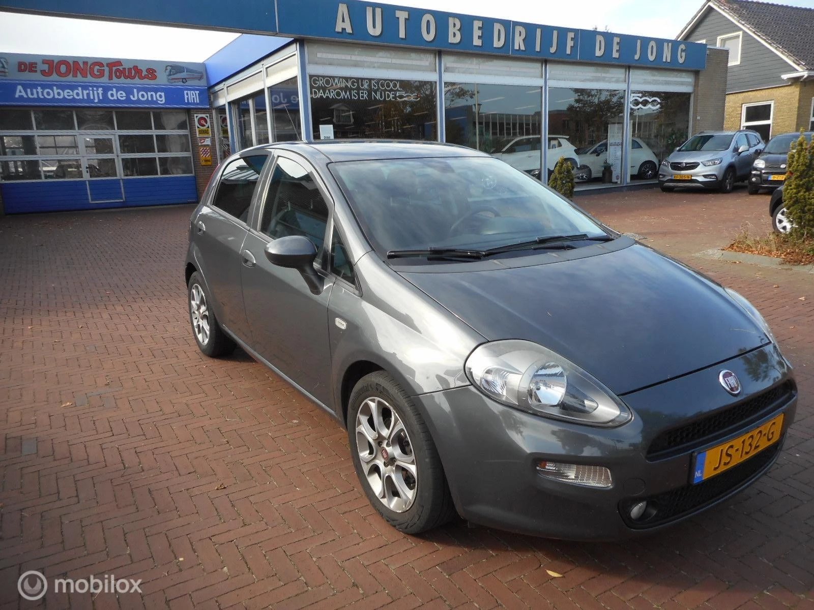 Hoofdafbeelding Fiat Punto