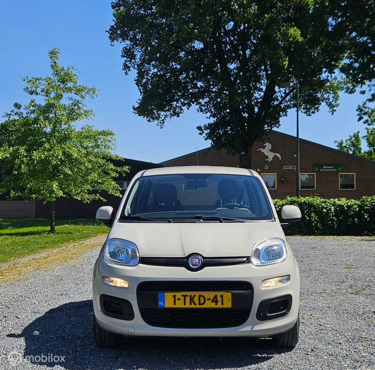 Hoofdafbeelding Fiat Panda