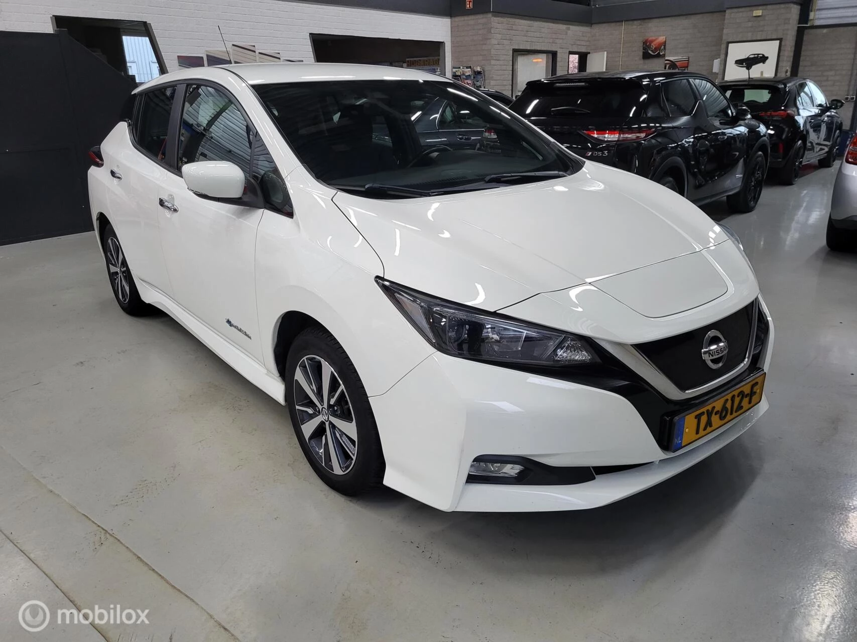 Hoofdafbeelding Nissan Leaf