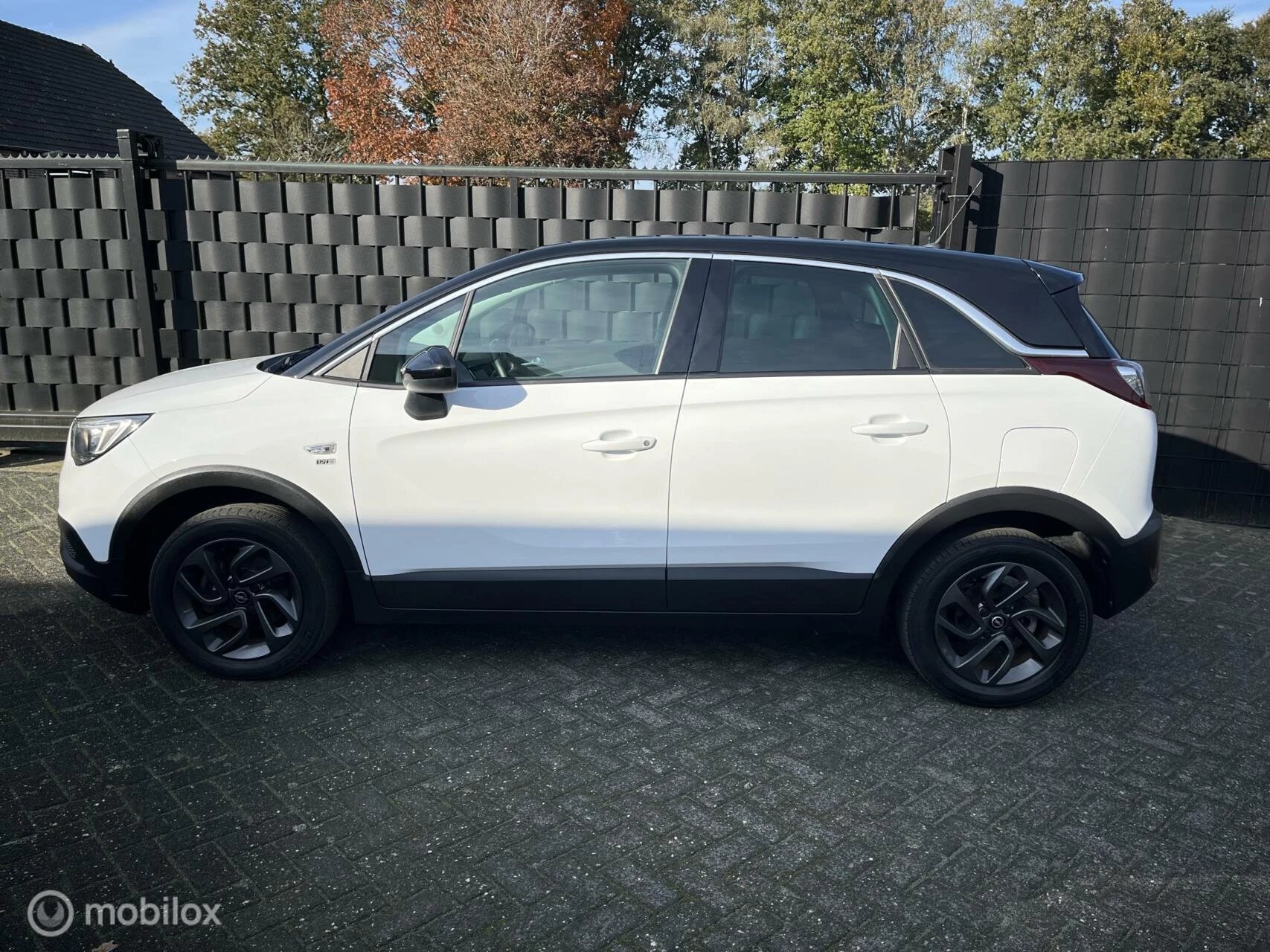 Hoofdafbeelding Opel Crossland X