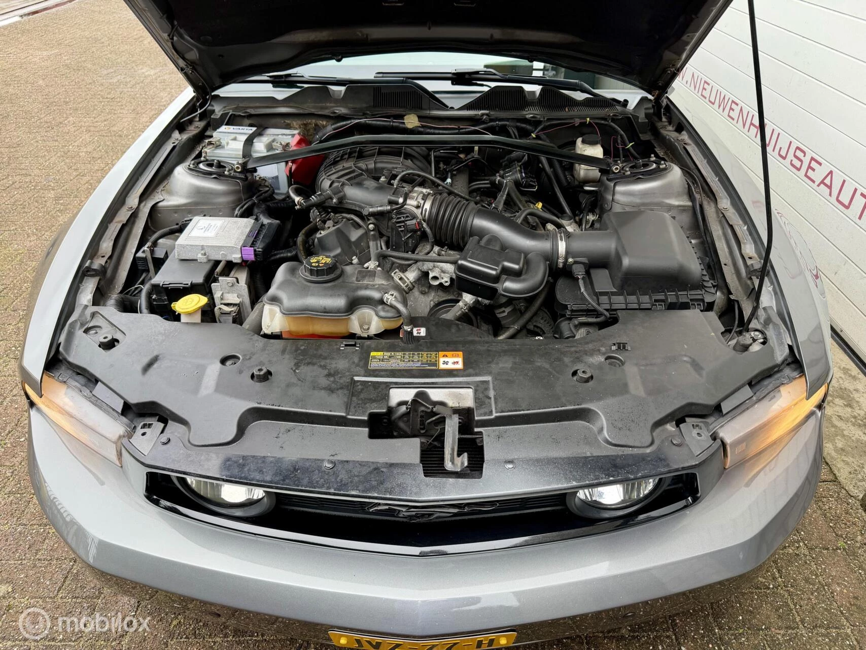 Hoofdafbeelding Ford Mustang