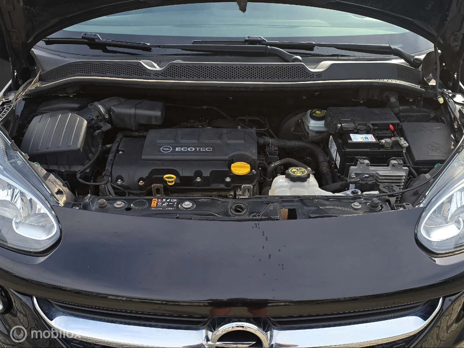Hoofdafbeelding Opel ADAM