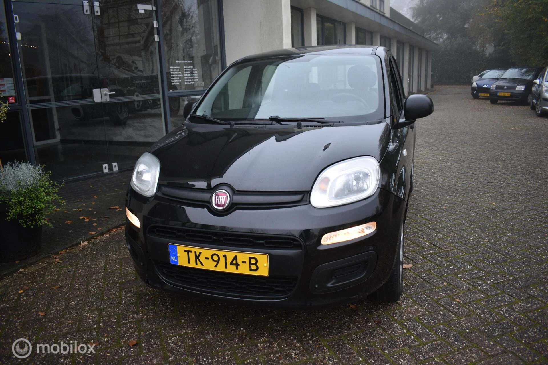 Hoofdafbeelding Fiat Panda