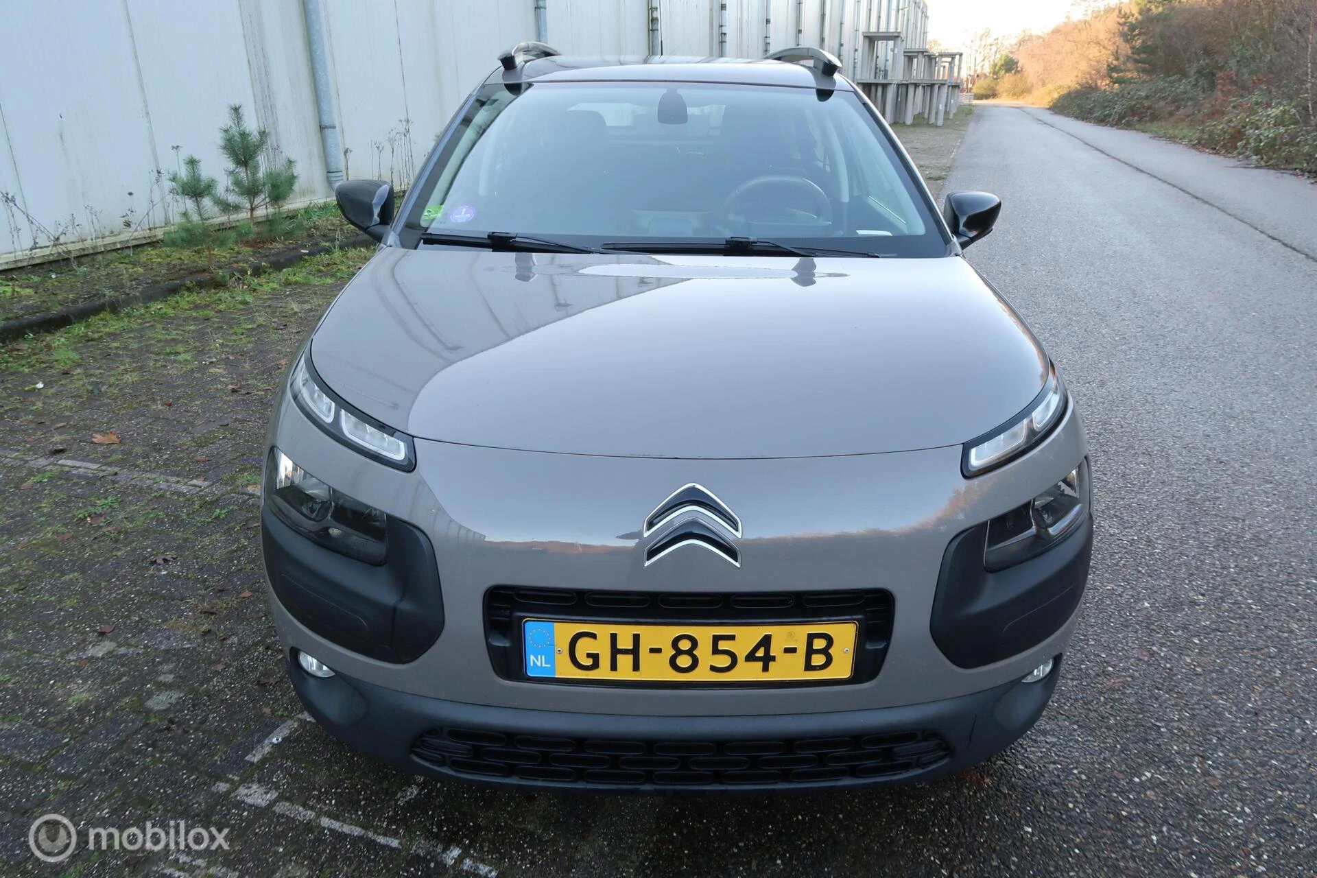 Hoofdafbeelding Citroën C4 Cactus