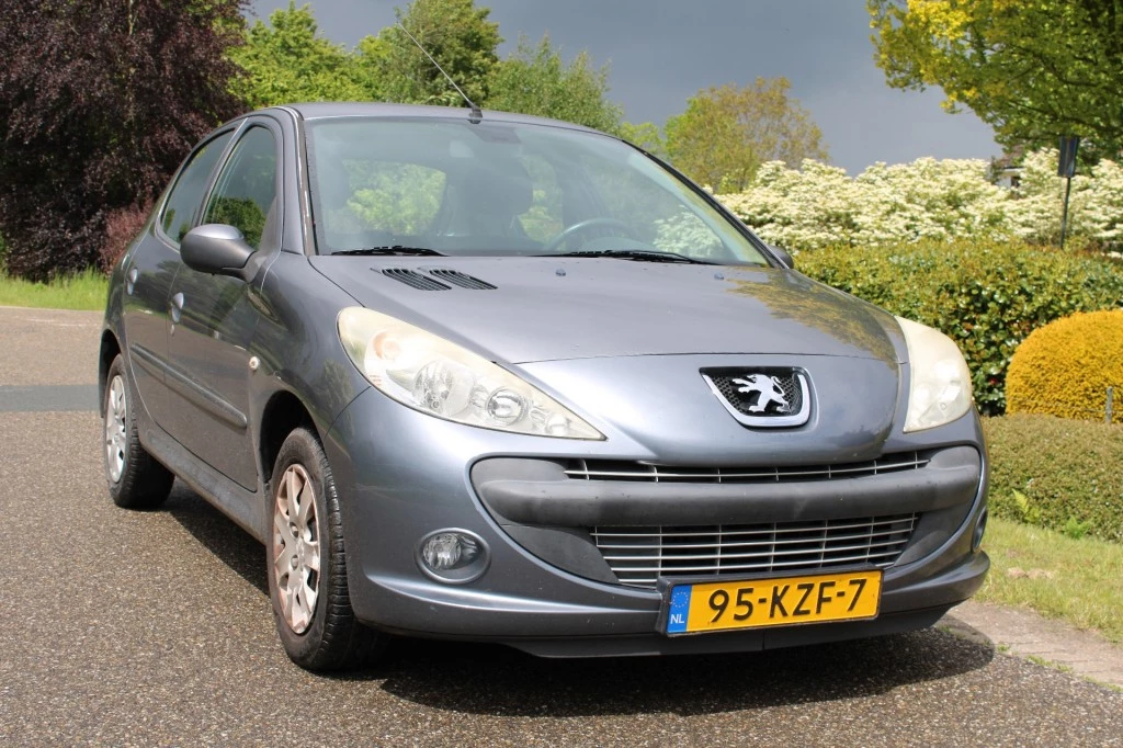 Hoofdafbeelding Peugeot 206