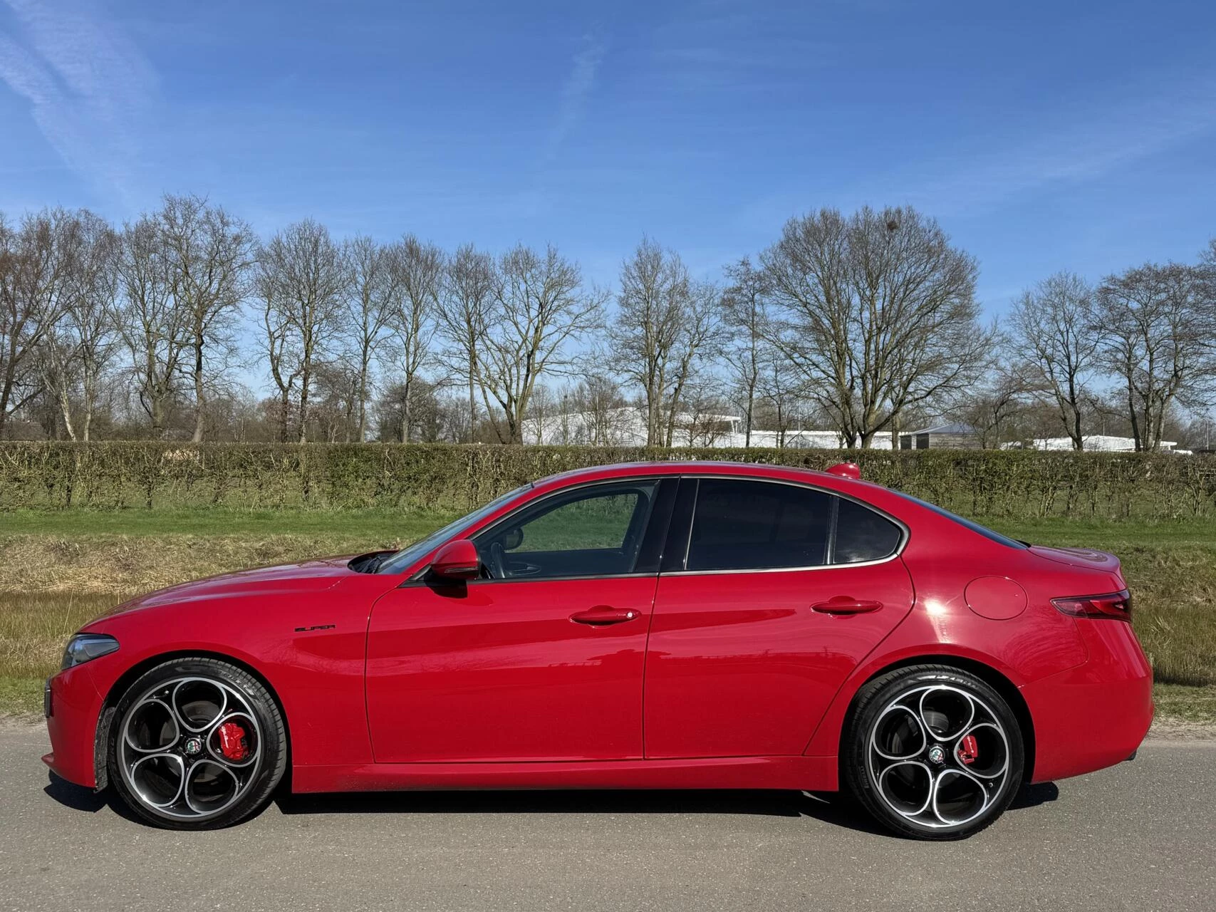Hoofdafbeelding Alfa Romeo Giulia