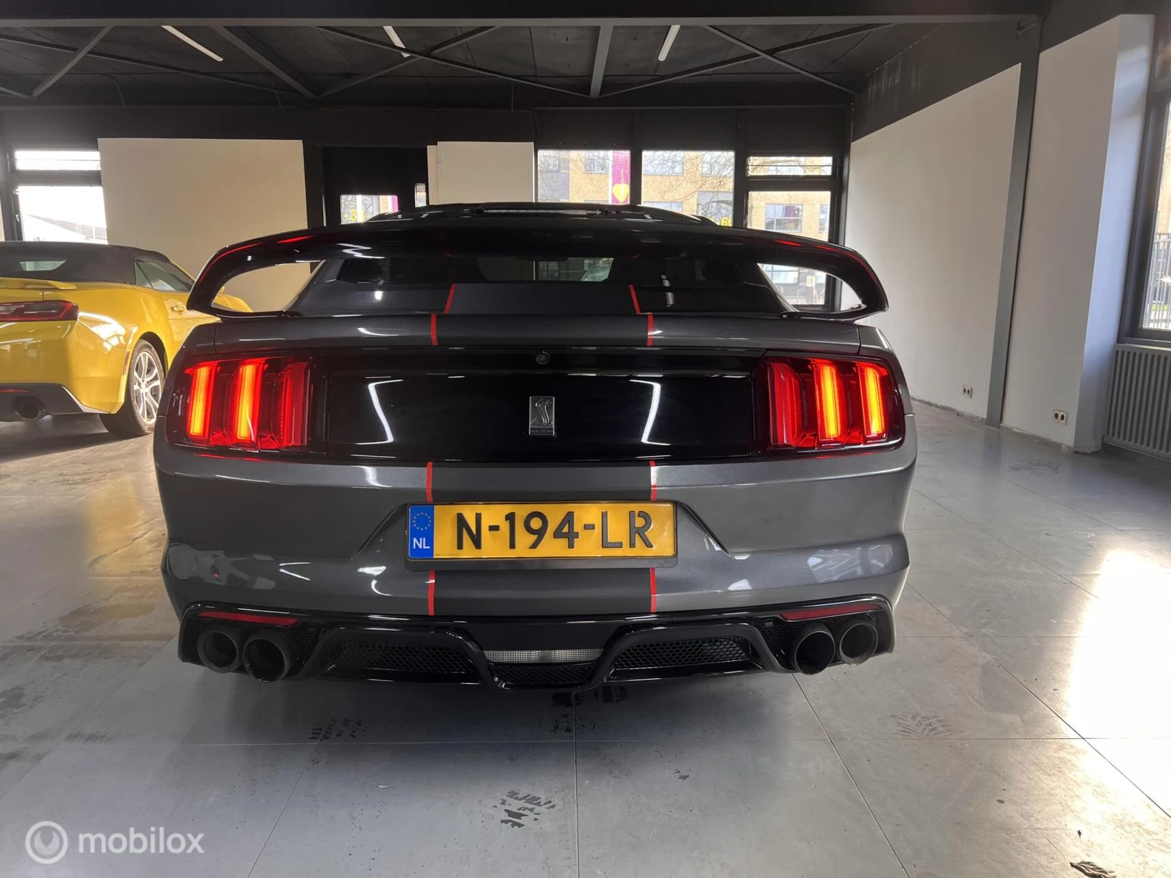 Hoofdafbeelding Ford GT