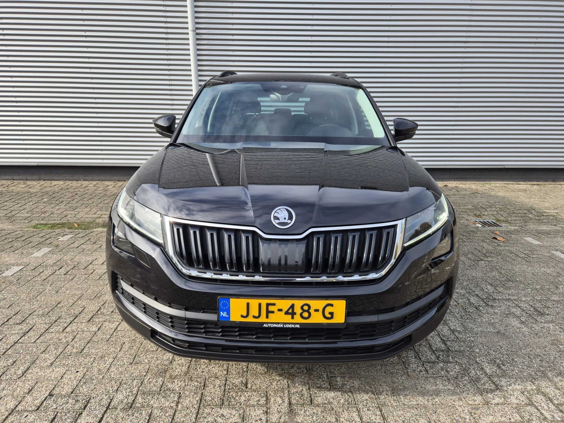 Hoofdafbeelding Škoda Kodiaq
