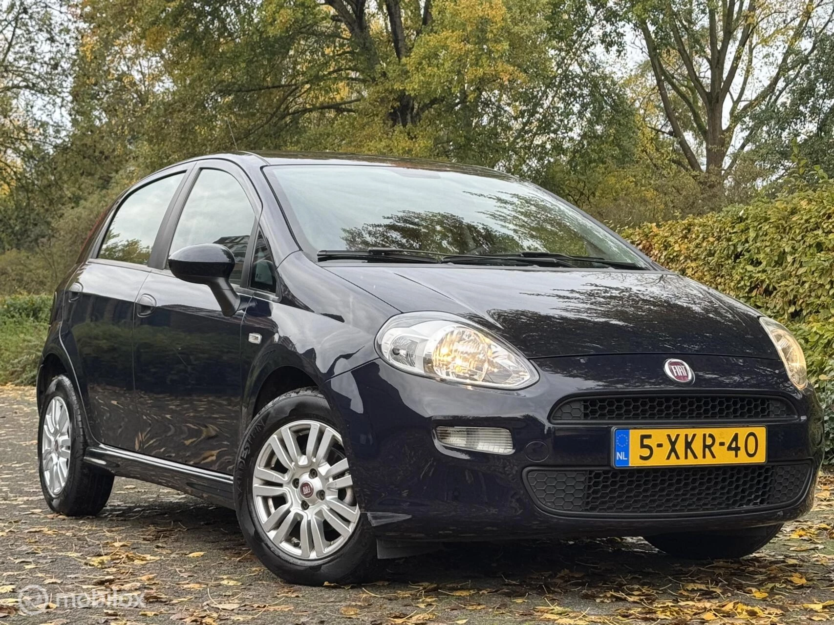 Hoofdafbeelding Fiat Punto