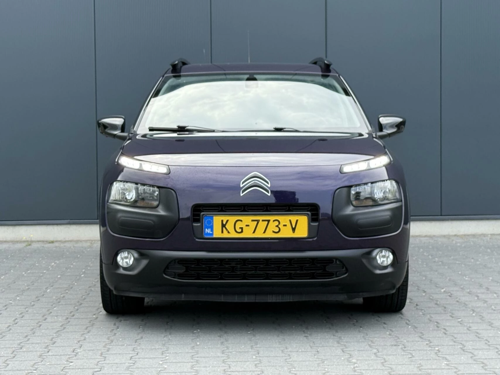 Hoofdafbeelding Citroën C4 Cactus