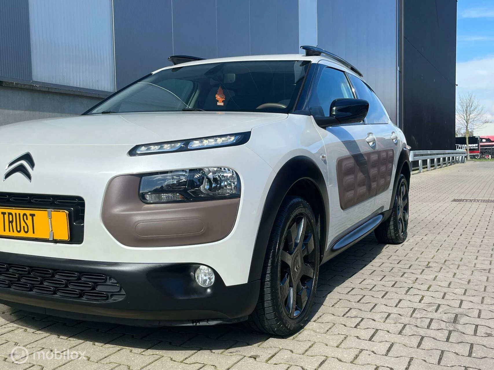 Hoofdafbeelding Citroën C4 Cactus