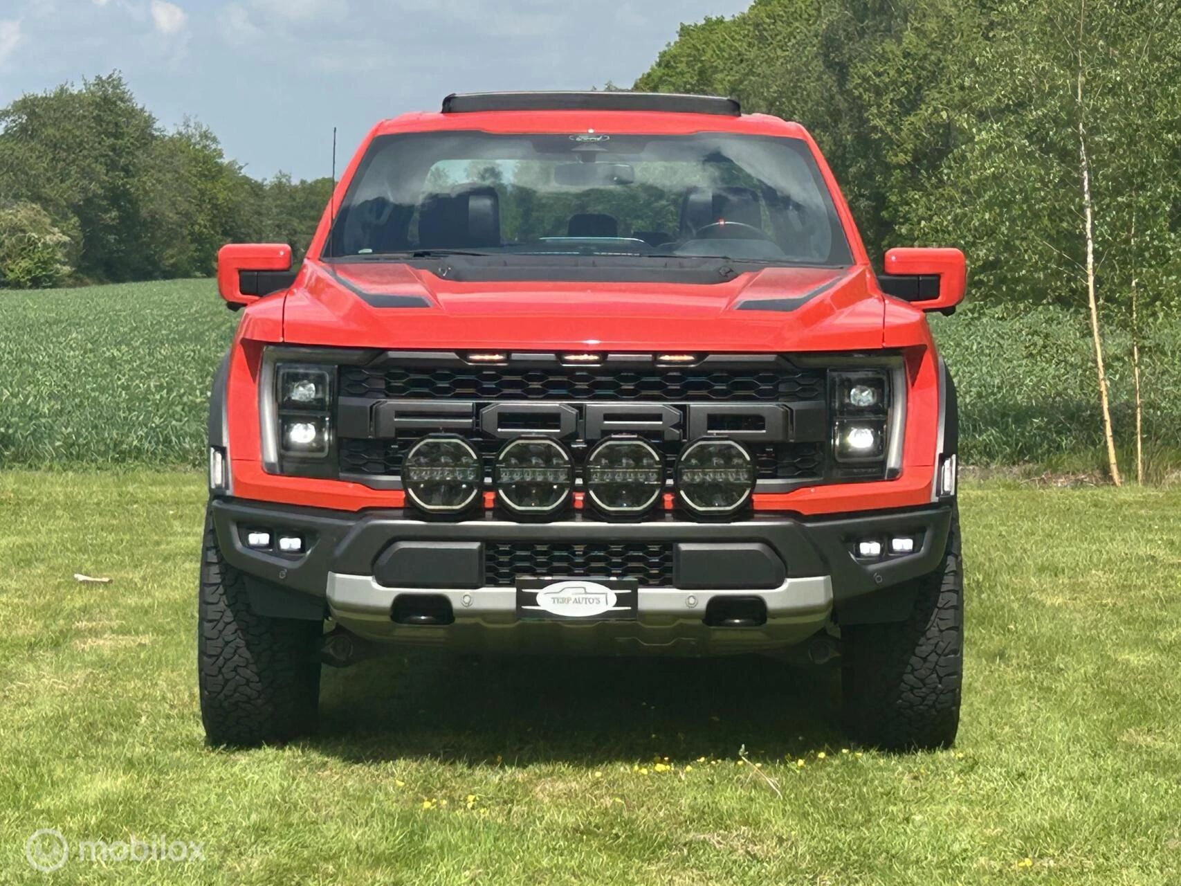 Hoofdafbeelding Ford F-150