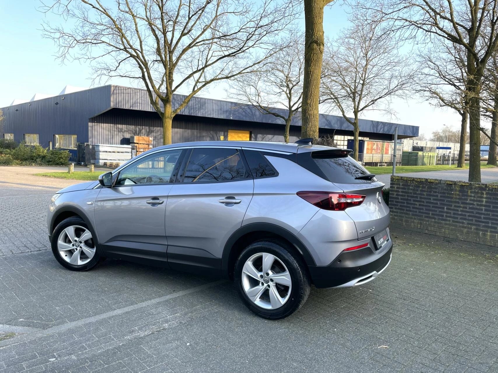 Hoofdafbeelding Opel Grandland X