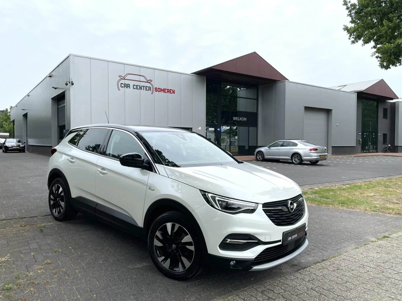 Hoofdafbeelding Opel Grandland X