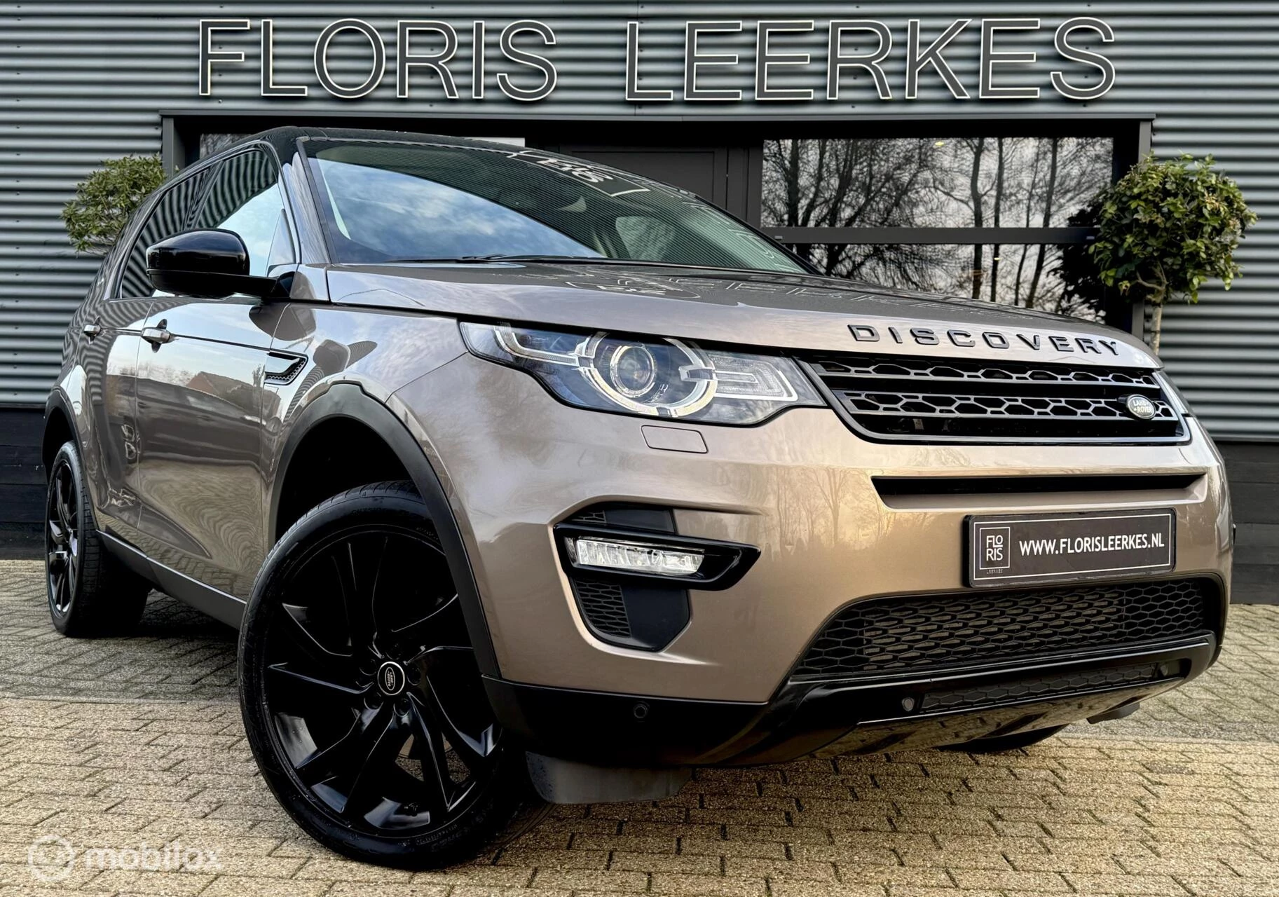 Hoofdafbeelding Land Rover Discovery Sport