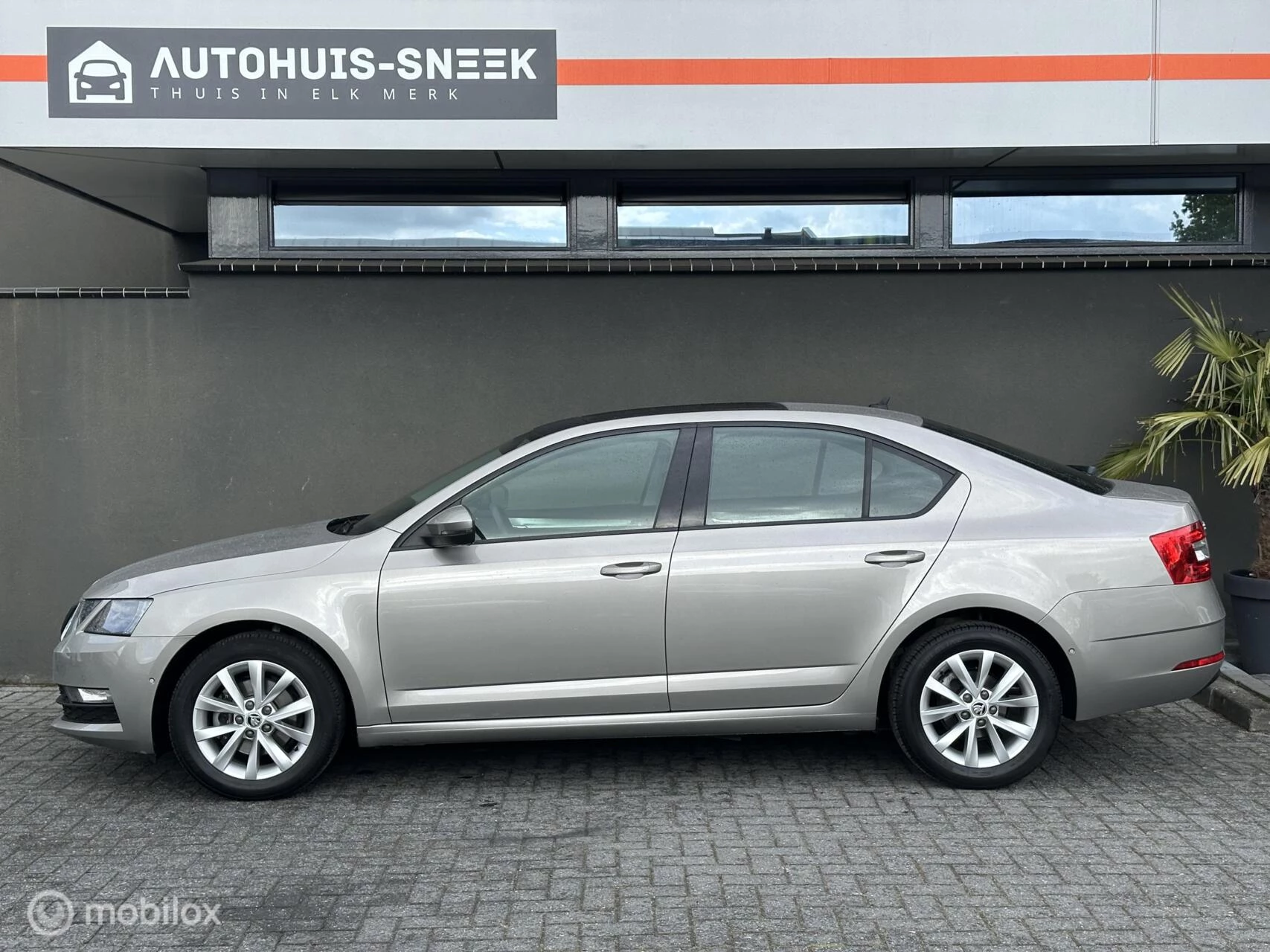 Hoofdafbeelding Škoda Octavia